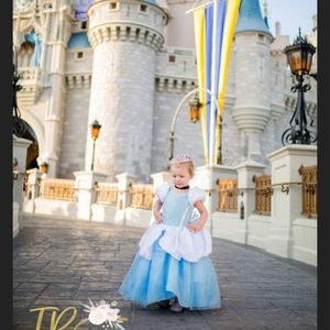 Toddler Cinderella Costume